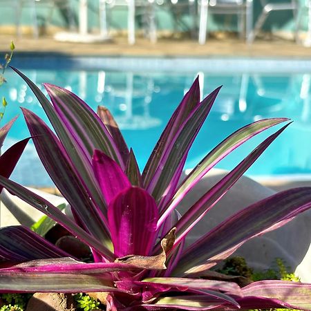 Pousada Sr Marinheiro Ubatuba Ngoại thất bức ảnh
